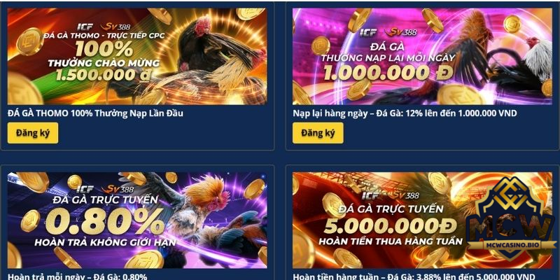 Ưu đãi hấp dẫn tại đá gà MCW Casino